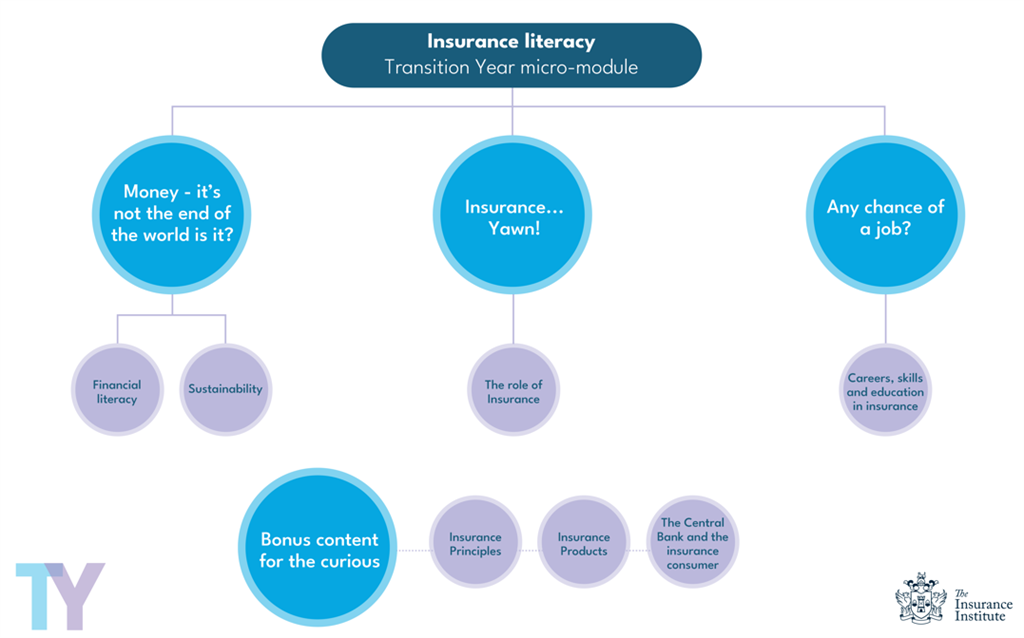 Future-Proofing Insurance: The TY Programme Making a Difference